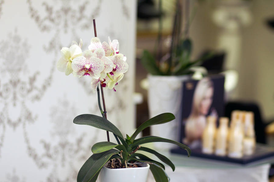 csm_IMG_9249_91a90db404